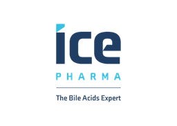 ICE S.p.A