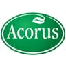 Acorus Calamus