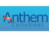 Anthem Cellutions (India) ltd.
