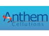Anthem Cellutions (India) ltd.