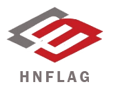 Hunan Flag Technology Co Ltd