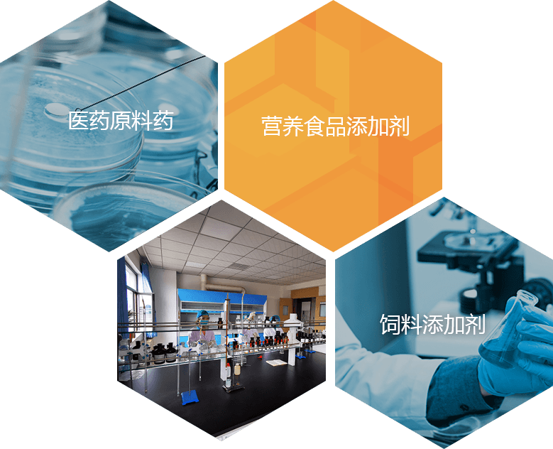 Ningxia Hengkang Technology Co.,Ltd cover
