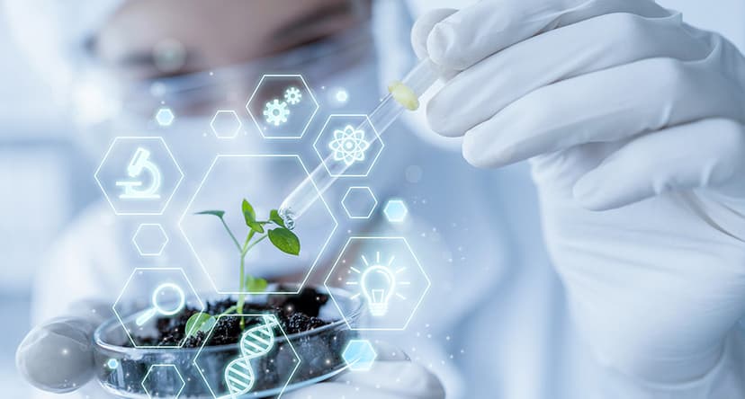 Innoxel Lifesciences Private Limited cover