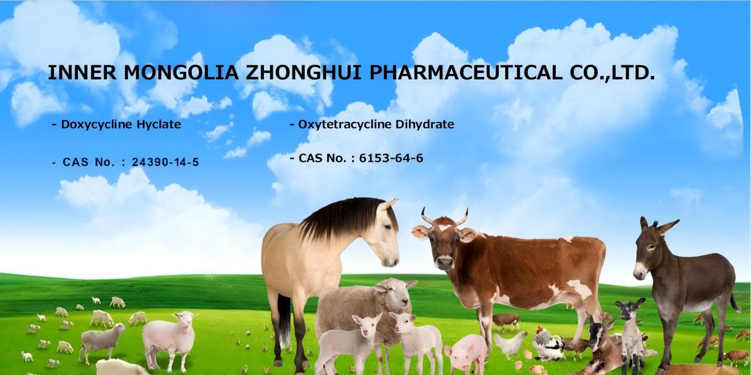 INNER MONGOLIA ZHONGHUI PHARMACEUTICAL CO.,LTD cover