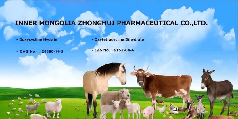 Titelbild von INNER MONGOLIA ZHONGHUI PHARMACEUTICAL CO.,LTD