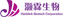 HERBLINK BIOTECH CORPORATION