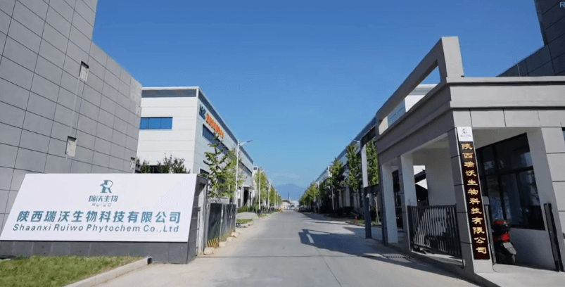 Titelbild von SHANNXI RUIWO PHYTOCHEM CO.,LTD