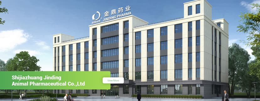 Shijiazhuang Jinding Animal Pharmaceutical Co., Ltd.， cover