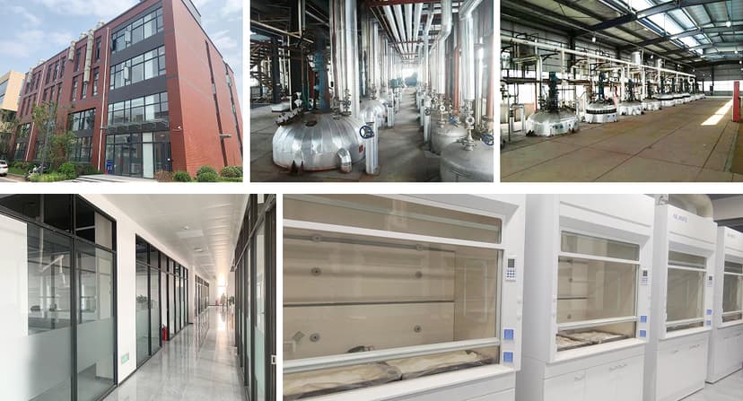 Shandong Bailong Pharmaceutical Co., Ltd. cover