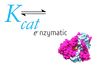 Kcat Enzymatic Private Limited