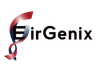EirGenix Inc.