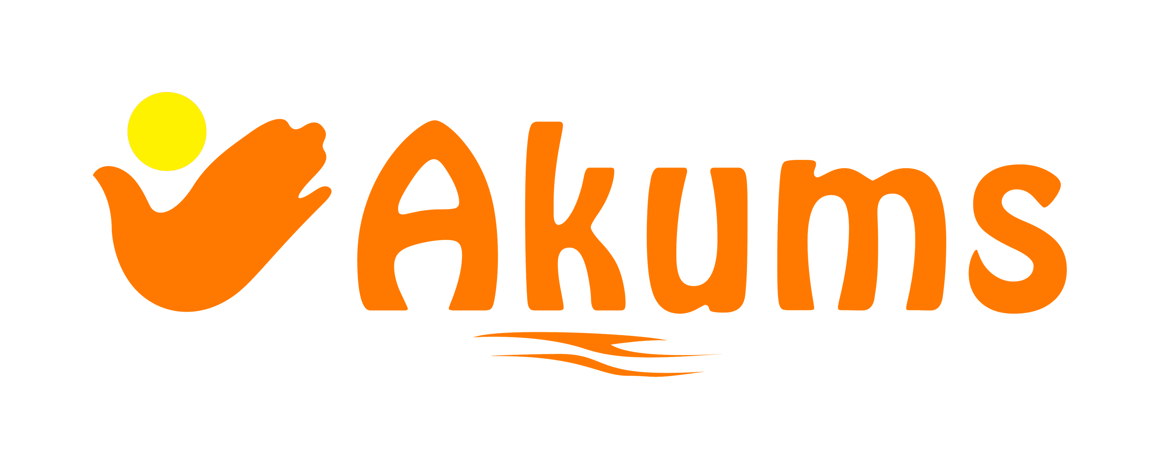 Akum Drugs and Pharmaceuticals Ltd cover