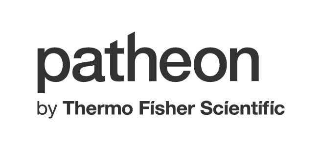 Patheon Italia SPA cover