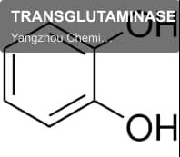 TRANSGLUTAMINASE (TG)