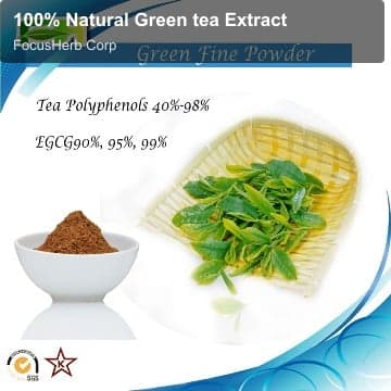100% Natural Green tea Extract
