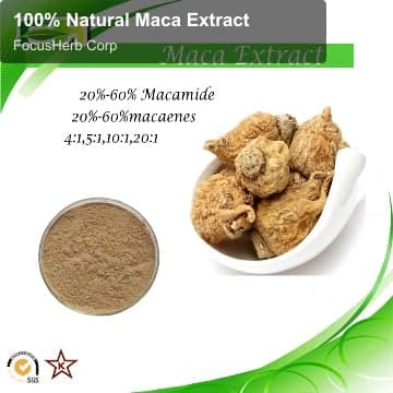 100% Natural Maca Extract