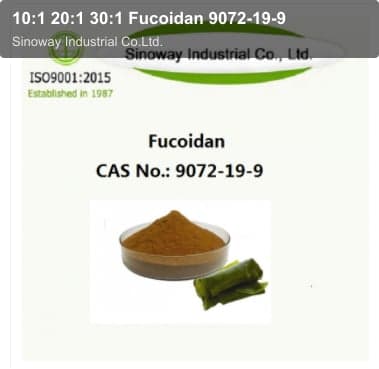 10:1 20:1 30:1 Fucoidan 9072-19-9