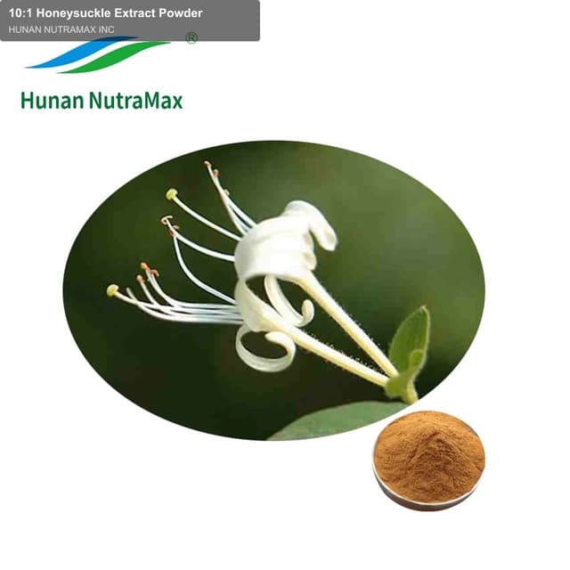 10:1 Honeysuckle Extract Powder