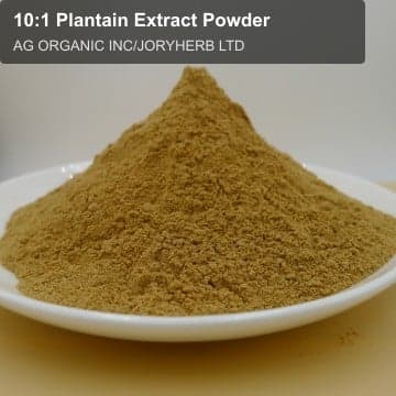 10:1 Plantain Extract Powder