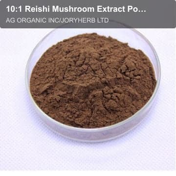 10:1 Reishi Mushroom Extract Powder