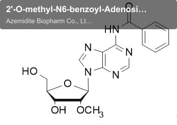 2'-O-methyl-N6-benzoyl-Adenosine
