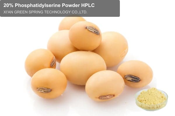 20% Phosphatidylserine Powder HPLC