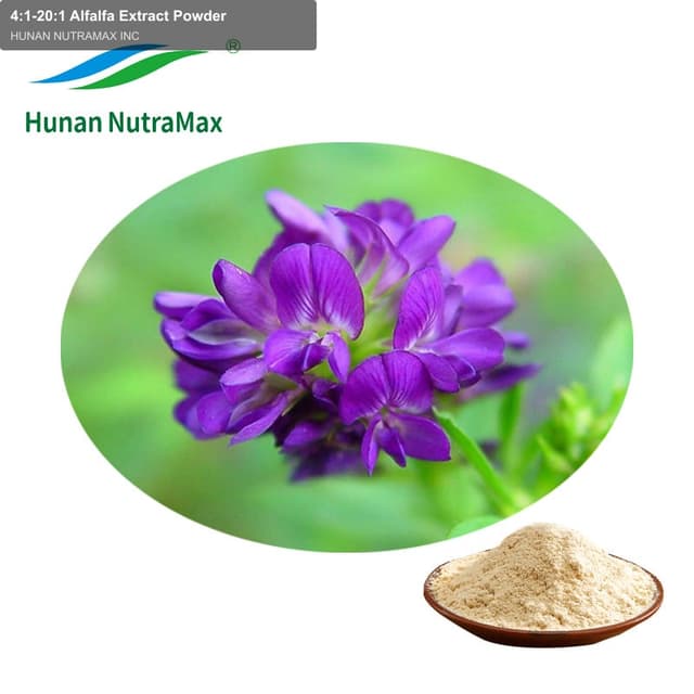 4:1-20:1 Alfalfa Extract Powder