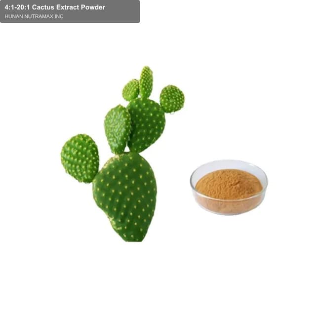 4:1-20:1 Cactus Extract Powder