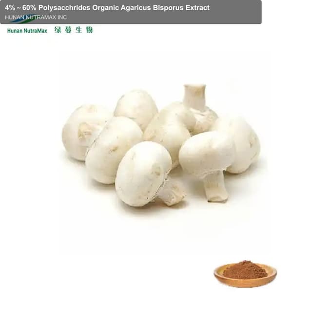 4%～60% Polysacchrides Organic Agaricus Bisporus Extract