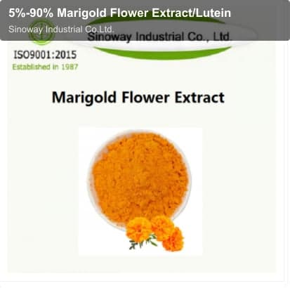 5%-90% Marigold Flower Extract/Lutein