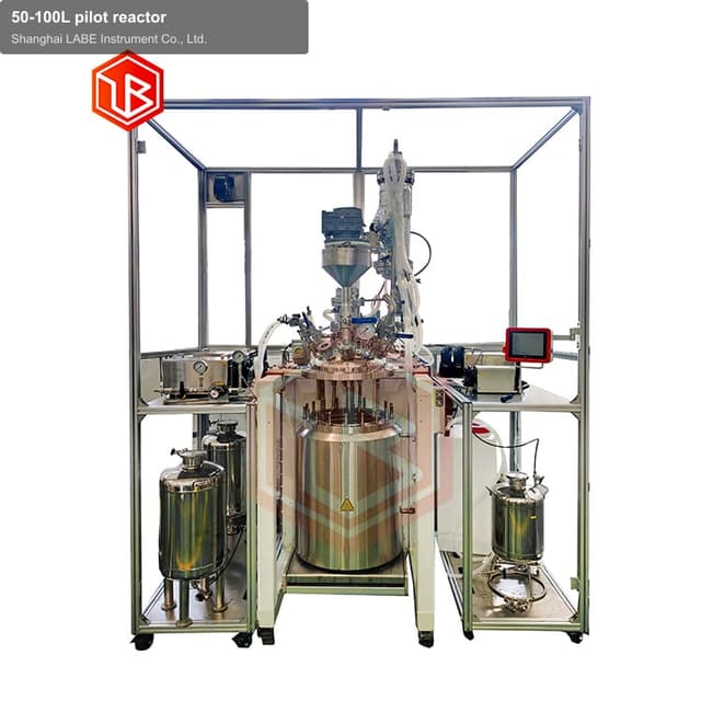 50-100L pilot reactor