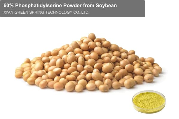 60% Phosphatidylserine Powder from Soybean