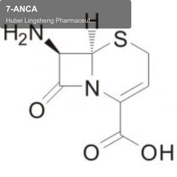 7-ANCA