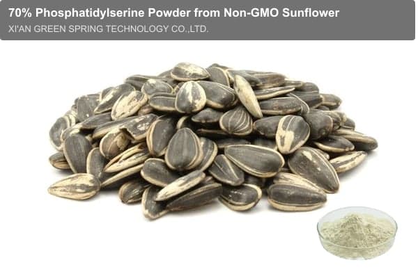 70% Phosphatidylserine Powder from Non-GMO Sunflower