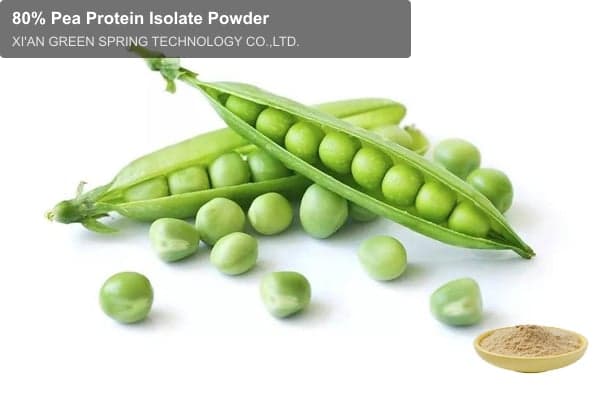 80% Pea Protein Isolate Powder
