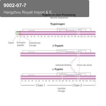 9002-07-7