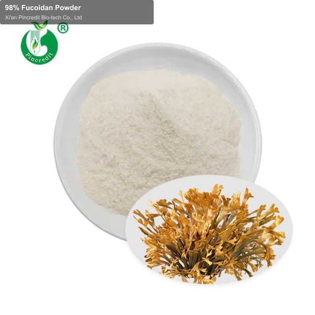 98% Fucoidan Powder