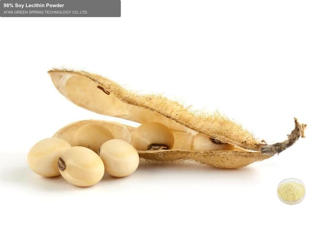 98% Soy Lecithin Powder