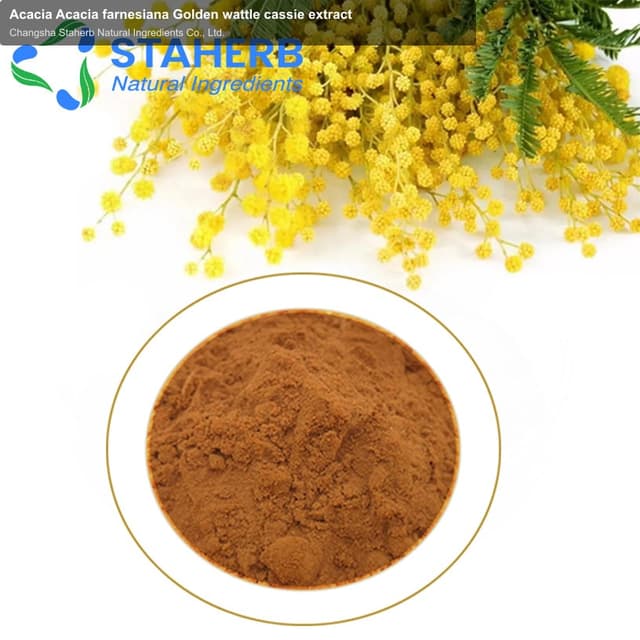 Acacia Acacia farnesiana Golden wattle cassie extract