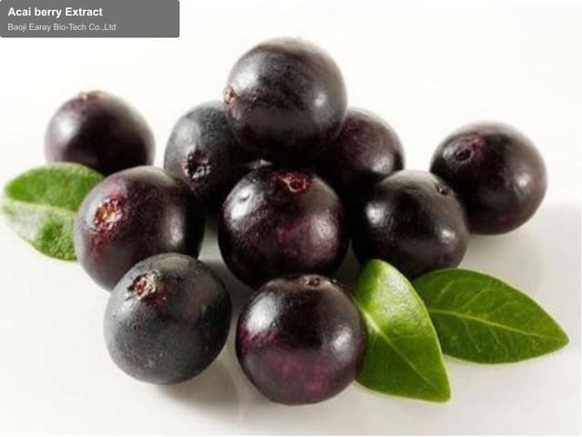 Acai berry Extract
