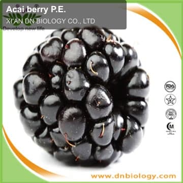 Acai berry P.E.