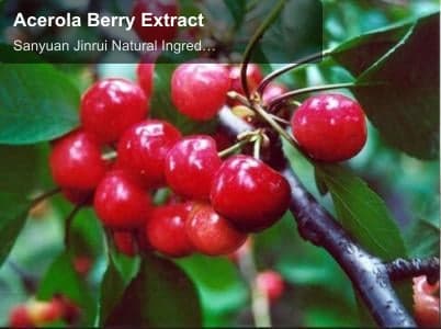Acerola Berry Extract