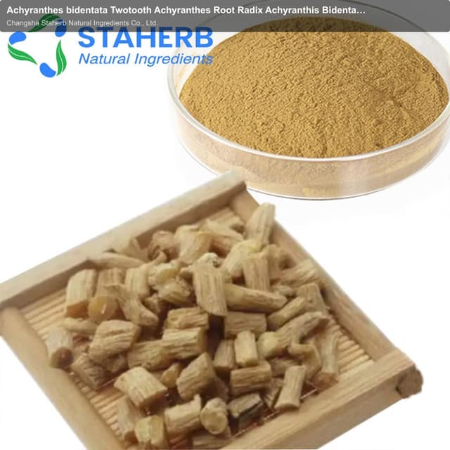 Achyranthes bidentata Twotooth Achyranthes Root Radix Achyranthis Bidentatae chaff flower root extra
