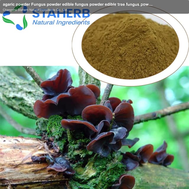 agaric powder Fungus powder edible fungus powder edible tree fungus powder
