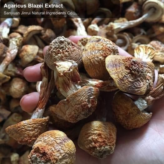 Agaricus Blazei Extract