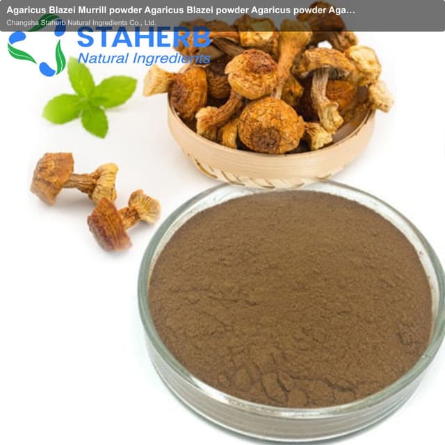 Agaricus Blazei Murrill powder Agaricus Blazei powder Agaricus powder Agaricus blarizonaei murrill p