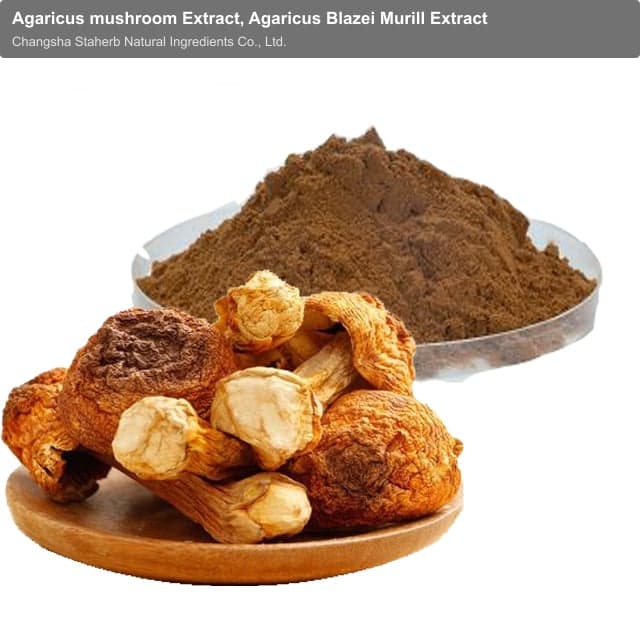 Agaricus mushroom Extract, Agaricus Blazei Murill Extract