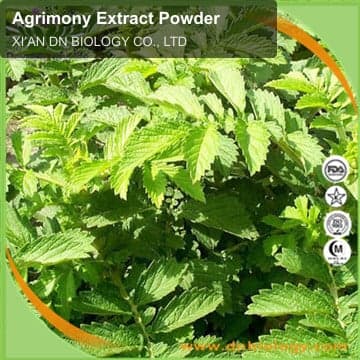 Agrimony Extract Powder