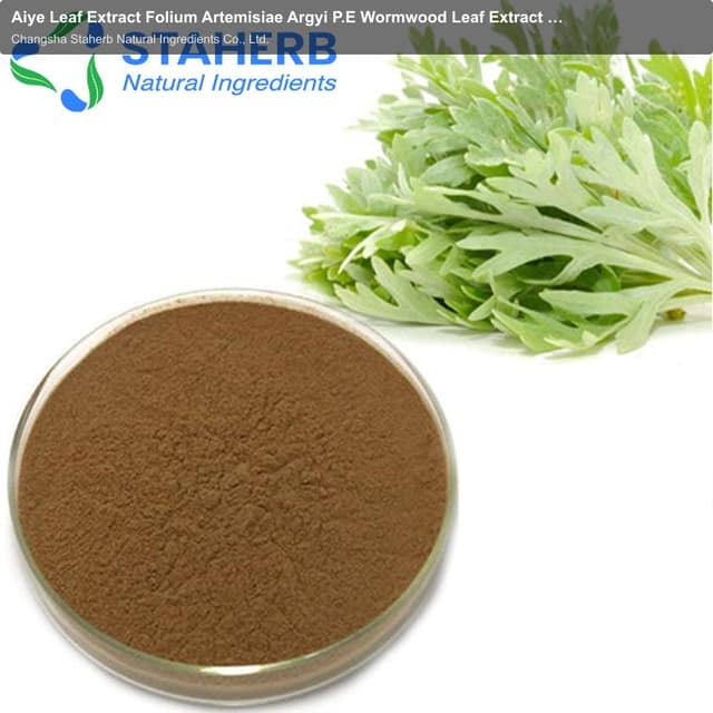 Aiye Leaf Extract Folium Artemisiae Argyi P.E Wormwood Leaf Extract Argy Wormwood Leaf extract