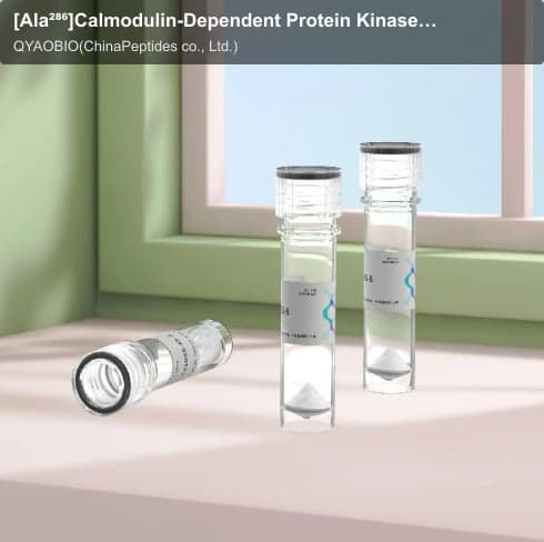 [Ala²⁸⁶]Calmodulin-Dependent Protein Kinase II (281-302) Polypeptide Synthesis